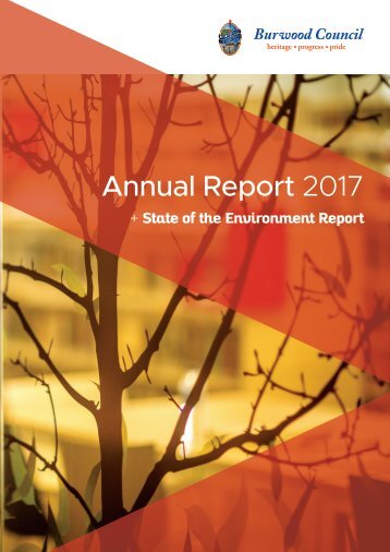 4291 BC Annual Report 2017 HR sgl