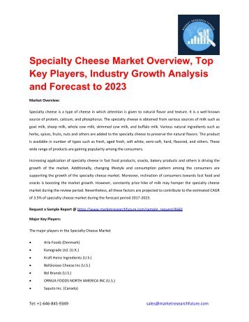Specialty Cheese Market_pdf