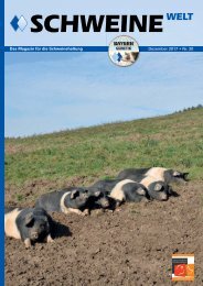 Schweine-Welt-Dezember-2017-web