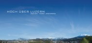 Hoch über Luzern