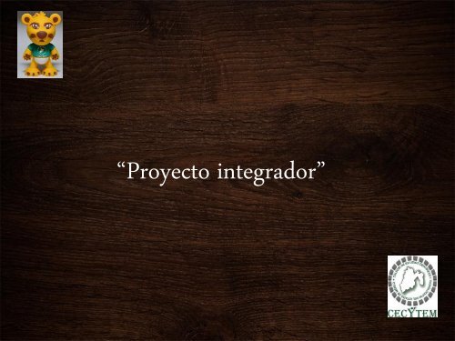 Proyecto integrador revista