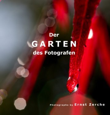 Garten des Fotografen - Ernst Zerche