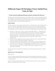 Different Types Of Christmas Trees - Useful Pros, Cons and Tips