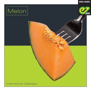 Melon 2018