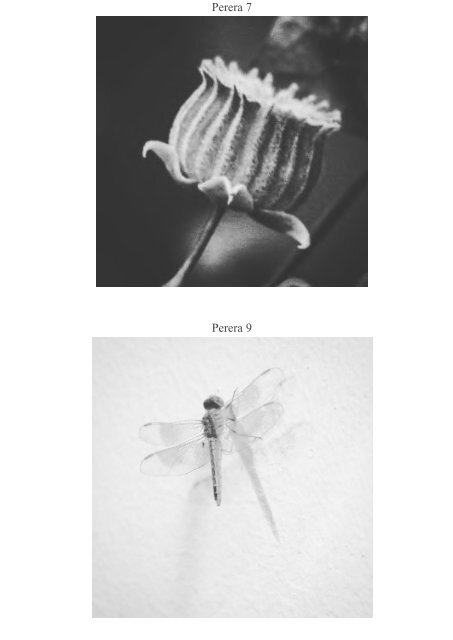 incense dreams JOURNAL - issue 1.3 - OMBRA e LUCE