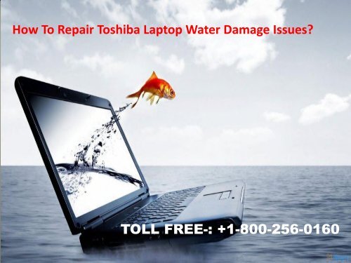Repair Toshiba Laptop Water Damage Issues