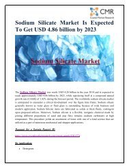 Sodium Silicate Market