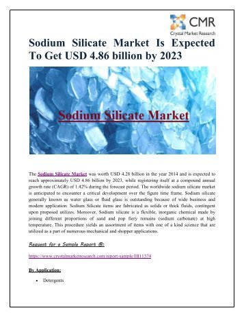 Sodium Silicate Market