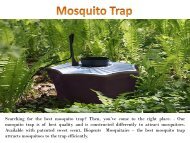 Tiger Mosquito Prevention