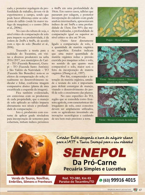 Revista MB Rural 33