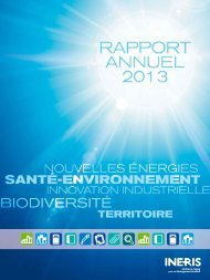 ineris-rapportannuel2013-052014-1402645408