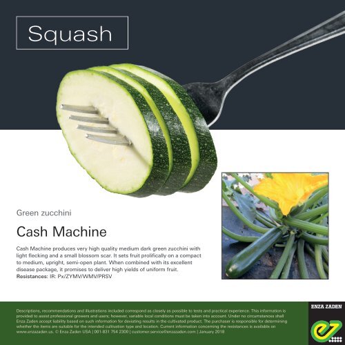 Leaflet Squash Cash Machine