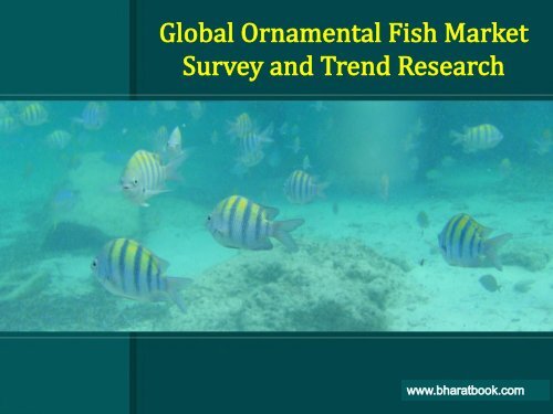 Global Ornamental Fish Market Survey and Trend Research