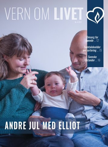 Vol nr. 4 2017