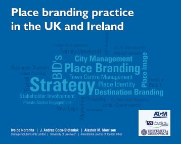 Place Branding Practice in the UK and Ireland