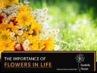 Importance of Flower in Our Life Explained By Calgary Florists
