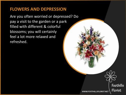 Importance of Flower in Our Life Explained By Calgary Florists