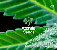 Atomik Seeds se especializa en semillas Auto y feminizadas, enfocándose en sabores y aromas fuertes y únicos