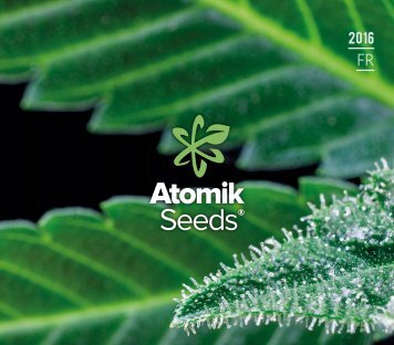 Atomik Seeds variétés sont fiables, ont un goût prononcé et, surtout, sont méticuleusement créées par une équipe d'éleveurs fière de ses racines