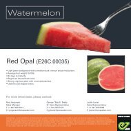Leaflet Watermelon Red Opal 2018