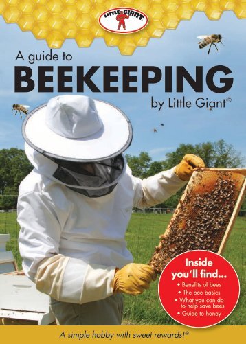 A Guide To Beekeeping
