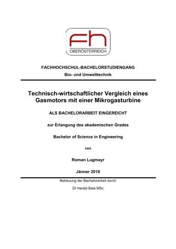 Technisch-wirtschaftlicher Vergleich eines Gasmotors ... - methaPUR