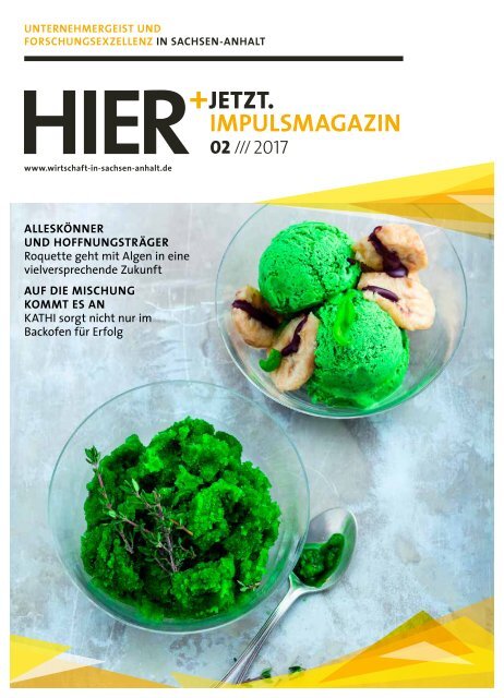 HIER+JETZT.Impulsmagazin // Ausgabe 02/2017