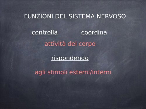 IL SISTEMA NERVOSO