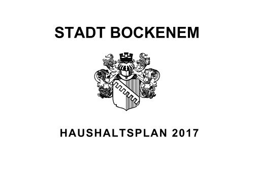 Haushaltsplan 2017