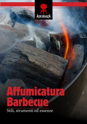 Affumicatura Barbecue