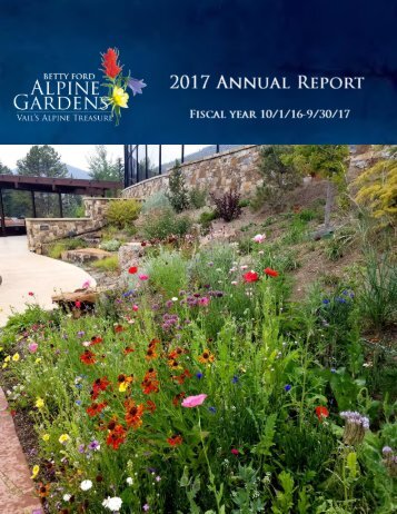 2017 Annual Report