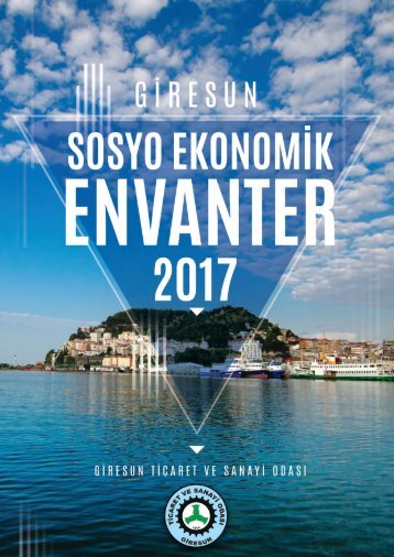 2017 Sosyo Ekonomik Envanter