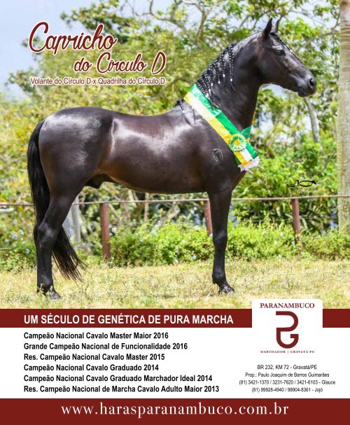 Revista Completa 37