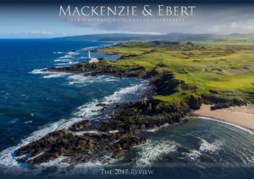 Mackenzie and Ebert 2017 Review 