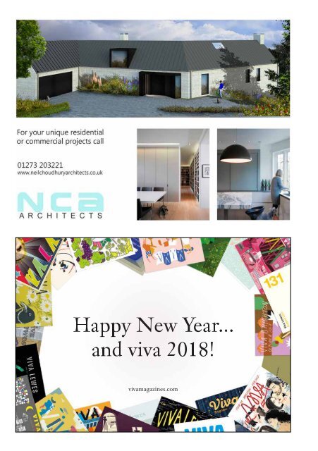 Viva Brighton Issue #59 January 2018