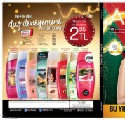 2017_c13_katalog