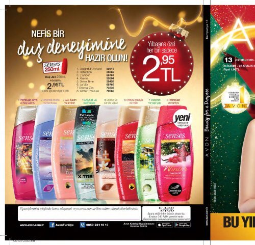 2017_c13_katalog