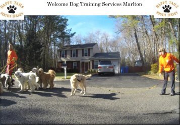 Dog Training Services Marlton