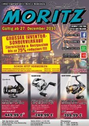 Flyer ab 27.12.2017