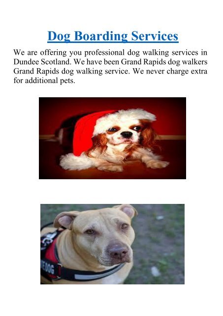 Dog Boarding Services