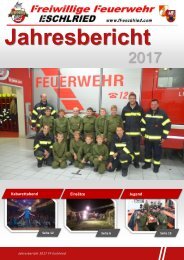 Jahresbericht 2017