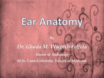 Ear Anatomy Lecture