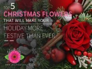 Top 5 Christmas Flowers – Contact Online Florist North St Paul