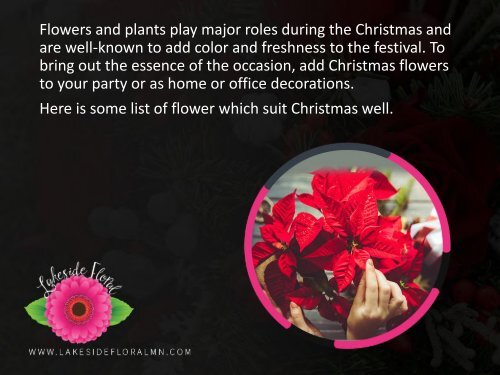 Top 5 Christmas Flowers – Contact Online Florist North St Paul