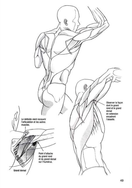 How to draw manga - Bodies & Anatomy