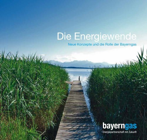 bayernets - Bayerngas GmbH