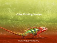 Color Printing Service - Chameleon Print Group 