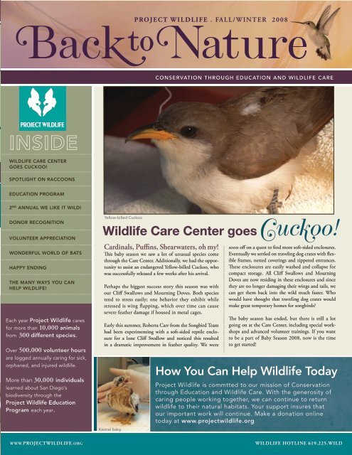 Wildlife Care Center goes Cuckoo! - Project WildLife