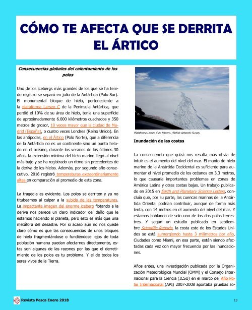 REVISTA PESCA ENERO 2018