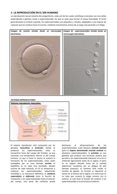 Compendio Ciencias Naturales Séptimos - Liceo Tecnológico ...